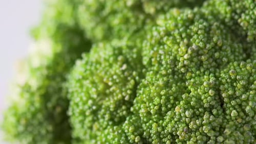 Macro footage of fresh broccoli. Close-up view of green cabbage