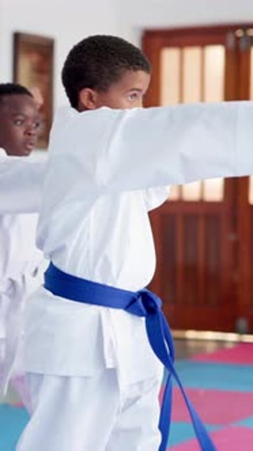 Kids Practicing Karate Kicks and Punches
