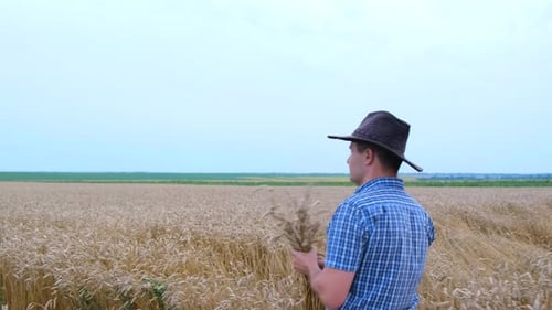 A Young Agronomist in a Hat Walks Through a Wheat Field Against the Background of the Sky