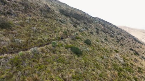 Drone view capturing an adventure man with his pet dog walking on arid mountains during daytime.