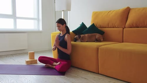 Woman Meditating on Yoga Mat with Dog on Sofa