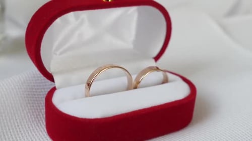 Gold Wedding Rings in Red Velvet Box