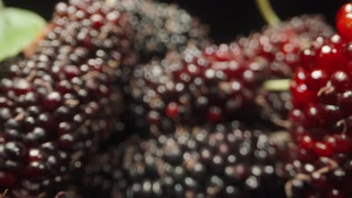 A lot of collected mulberries on the table. Dolly slider extreme close-up.