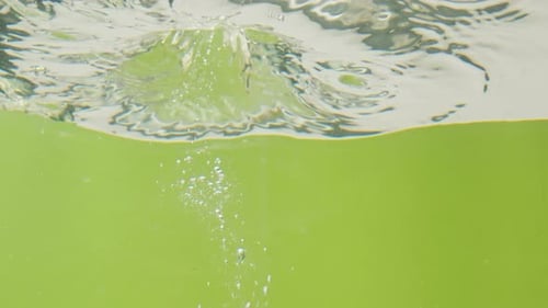 Green Avocado Dropping in Water Fresh Fruits and Vegetables Falling Splashing Into Water Aquarium or