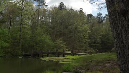 Old hidden bridge beckons adventurers to explore a beautiful midwest forest landscape