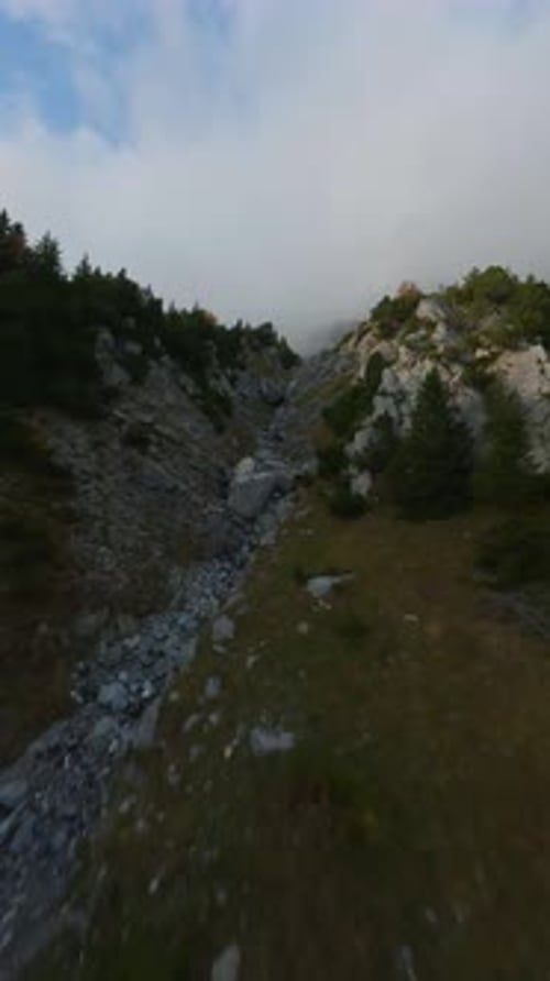Vertikales Video