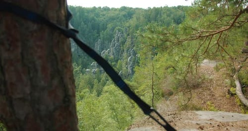 Femme installant une sangle de hamac sur un arbre dans une zone boisée, aventure en plein air et camping