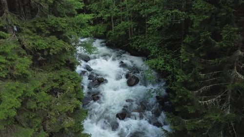 Drone moving over stream and forest