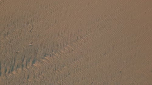 Sandy Sunset Beach Texture Top View Aerial Zoom Out Wind Marks on Wet Sand