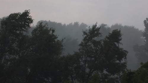 Heavy Rain And Strong Wind 27