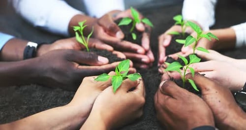 Empresarios con ecología, planta y tierra con manos y medio ambiente, negocios sostenibles