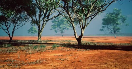 Arid Desert Landscape with Sparse Trees