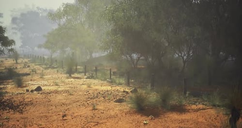 Dusty Trail Through a Misty Landscape in the Early Morning Light