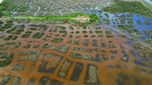 Island Aerial top down above flooded geometrical fields, green grass with bronze earthy tones colore