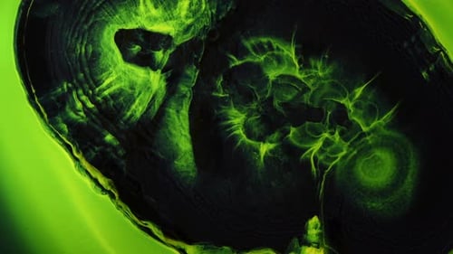 Mesmerizing Abstract Composition in Black and Luminous Green