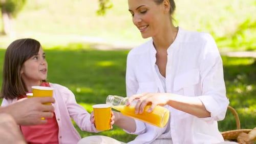 Family enjoys picnic with juice in park