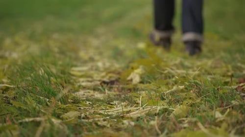 Person Walking on Green Grassy Field in Autumn