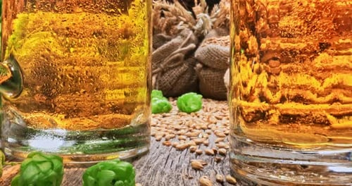 Canecas de cerveja gelada. Lúpulo e malte como ingredientes da cerveja.