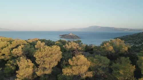 Aerial View of a Forested Mountain with a Stunning Sea Horizon