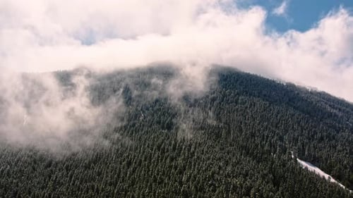Aerial View of Misty Mountain and Forest