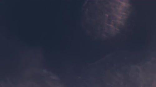 Abstract Video of Optical Flares and Light Leaks