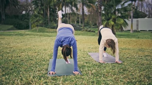 Women practicing yoga poses outside on yoga mats