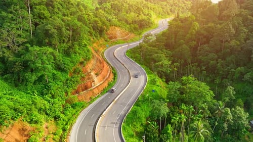 Drone above tropical forest, capturing breathtaking view of winding asphalt road.