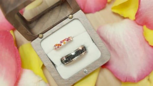 Stylish wedding rings in box surrounded by rose petals