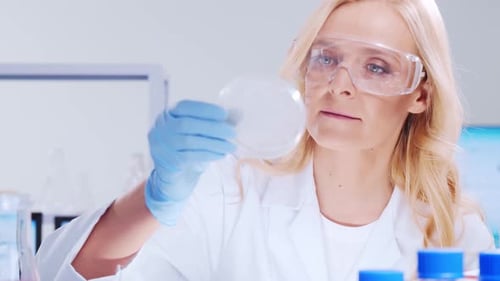 Woman Scientist Inspecting Petri Dish in Laboratory