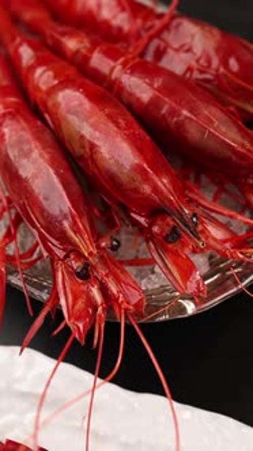 Fresh Raw Red Prawns Displayed on Ice Plate