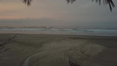 Incrível captura aérea de 4K que mostra praia e palmeiras com um nascer do sol deslumbrante ao fundo