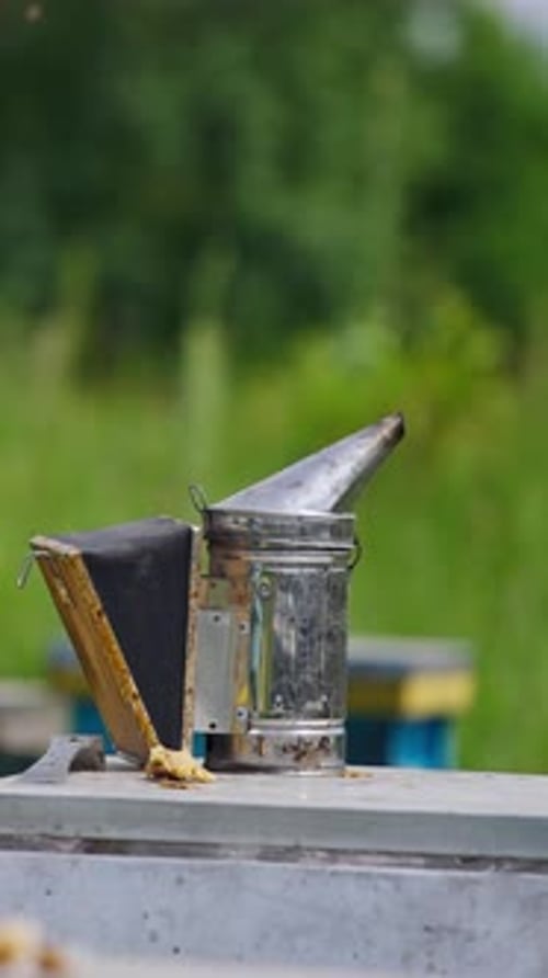 Smoker stands near the opened hive. Beekeeping tool to calm bees with smoke on a beehive.