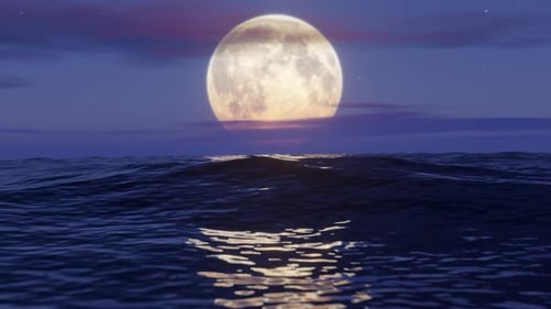 Flying Over the Ocean at Moon Night Stylized Looped Animation 3d Render