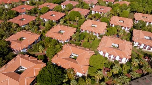 Luxurious Beach Resort with Swimming Pool and Beach Chairs and Palm Trees