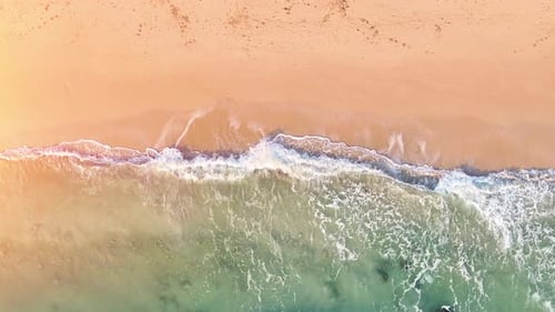 Beach sea palm island tropical ocean sand tree sky water paradise travel nature vacation summer.
