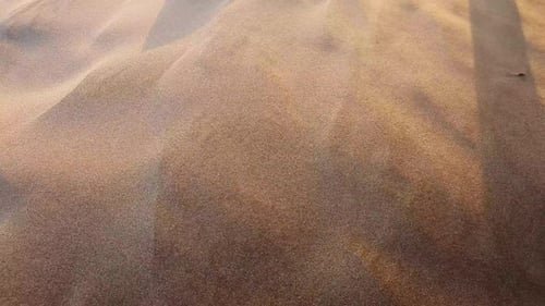 Sand particles flying during sand storm at the beach.