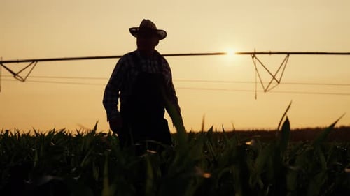 Silhouette of Farmer in Field at Sunset