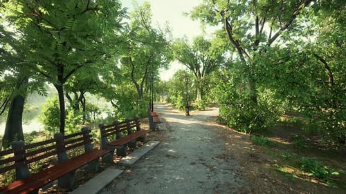 Walking Trails in the Park