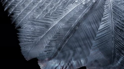 Intricate Blue Ice Crystal Forming in Close Up