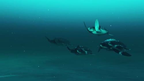 Majestic Sea Turtles Gliding Through Ocean Depths at Dusk.