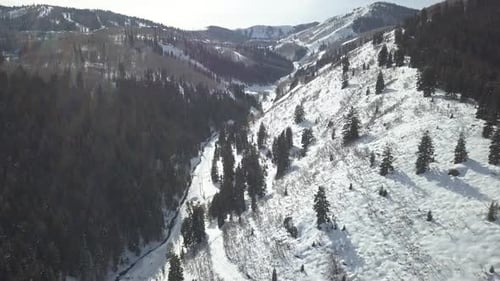 aerial view of snowy mountains with trees and ski slopes