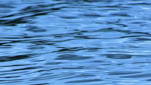A clip of ocean water