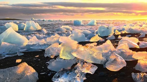 Icebergs Shining on a Black Beach During Golden Hour Sunrise on Diamond Beach in Iceland Clear Ice