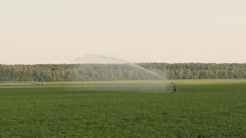 Sprinklers Spray Water on Farmland Against a Forest Background