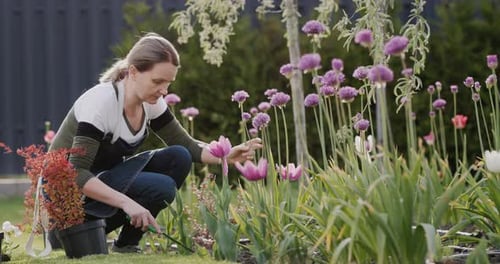 Middle Aged Woman Working in Her Backyard in Her Garden