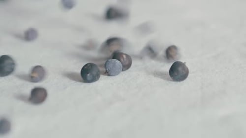Juniper Berries Falling onto White Textured Surface