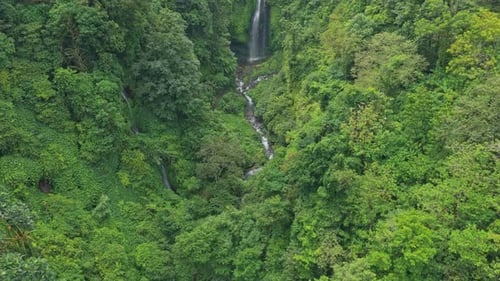 Sekumpul waterfall flowing through lush green rainforest in bali, indonesia