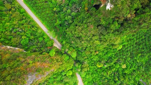 Trees tunnel road and limestone hills