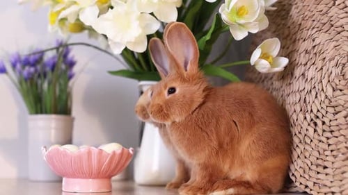 Two Adorable Rabbits with Flowers and Easter Eggs