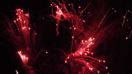 Brilliant Red Fireworks Explode in the Night Sky